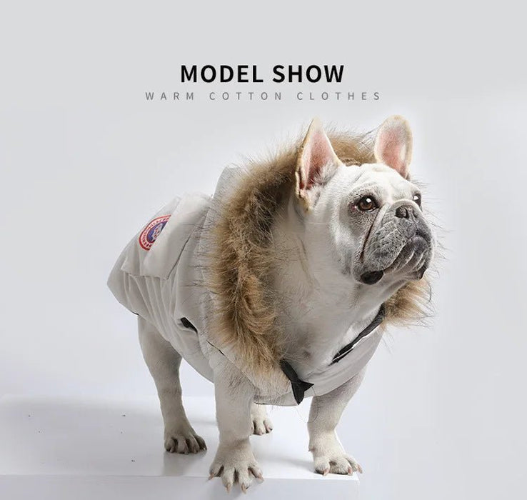 Casaco / Blusão de Inverno Quente e Impermeável, com capuz, para Cães - PetDoctors - Loja Online