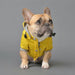 Casaco / Blusão / Gabardine Amarela Impermeável para Cães - PetDoctors - Loja Online