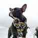 Casaco Camuflado Impermeável para Cães - PetDoctors - Loja Online