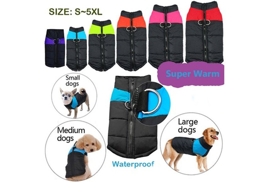 Casaco Protetor para Cães - Casaco de Inverno Impermeável (chuva) - PetDoctors - Loja Online