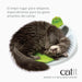 🐱 Centro de Massagem Senses 2.0 Catit para Gatos - PetDoctors - Loja Online