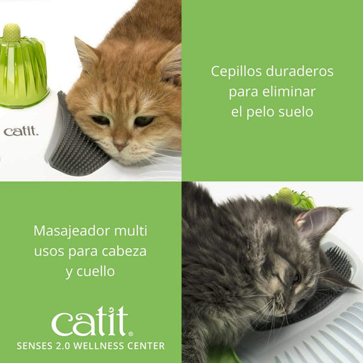 🐱 Centro de Massagem Senses 2.0 Catit para Gatos - PetDoctors - Loja Online