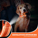 Coleira de cão acolchoada para AirTag, refletora, para cães pequenos, médios e grandes - PetDoctors - Loja Online