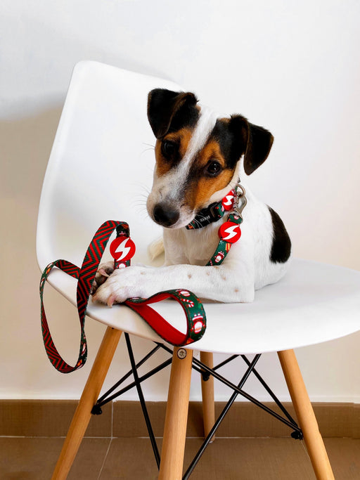 Coleira Noel, para cães ou gatos (DASHI) - 4 tamanhos - PetDoctors - Loja Online