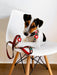 Coleira Noel, para cães ou gatos (DASHI) - 4 tamanhos - PetDoctors - Loja Online