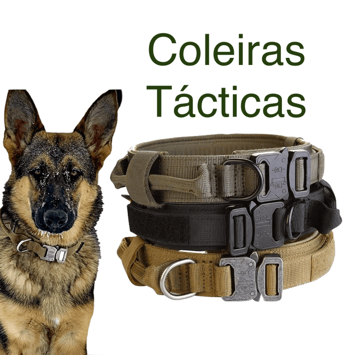 Coleira Táctica Ajustável para Cães de Raças médias e grandes - PetDoctors - Loja Online