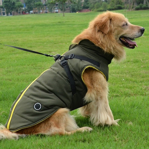 Colete / Blusão Quente e Impermeável para Cães com Arnês Integrado - PetDoctors - Loja Online