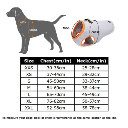 Colete / Peitoral Refrescante para Cães (especialmente indicado para Bulldog Francês) - PetDoctors - Loja Online