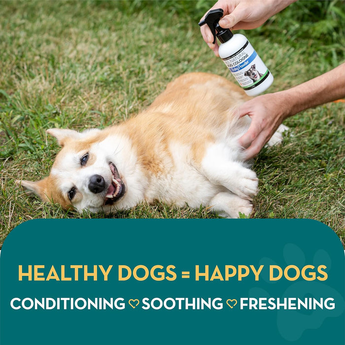 Colónia para cães em spray completamente natural / perfume em spray para cães | Aroma a Talco para bebés | Desodorizante, Desembaraçador e Condicionador de pelo em spray para cães, 250 ml - PetDoctors - Loja Online