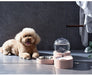 Comedouro e Bebedouro Automático para Cães e Gatos - PetDoctors - Loja Online