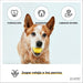 Conjunto de 2 Bolas para Cães, Resistentes a Mordidas - PetDoctors - Loja Online