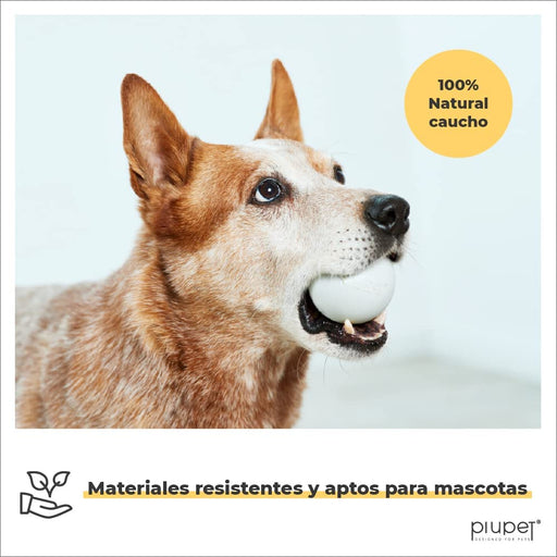 Conjunto de 2 Bolas para Cães, Resistentes a Mordidas - PetDoctors - Loja Online