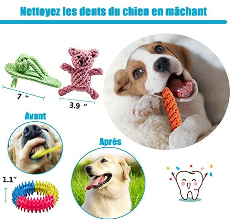 Conjunto de brinquedos e jogos para Cães (10 peças diferentes) - PetDoctors - Loja Online