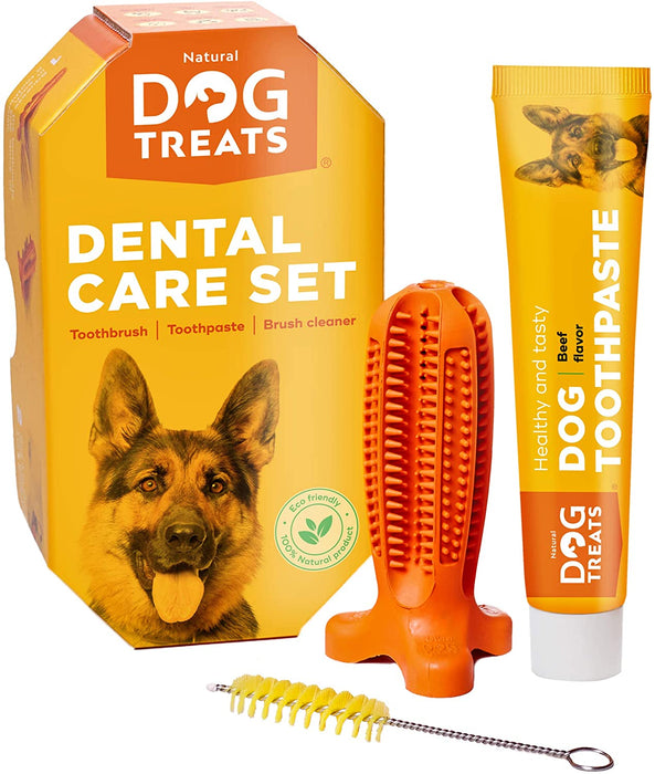 Conjunto de Escova de Dentes e Pasta de Dentes "Natural Dog" para Cães, 100% Natural - PetDoctors - Loja Online