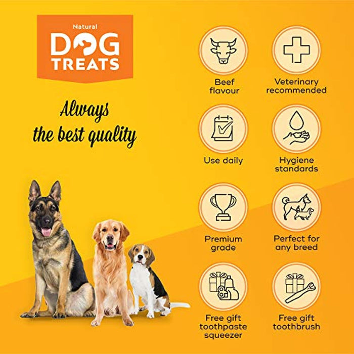 Conjunto de Higiene Oral para Cães com 4 Tubos de Pasta de Dentes + Escova + Espremedor Natural Dog Treats - PetDoctors - Loja Online