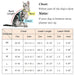 Conjunto de Trela e Peitoral para Gatos (ou cães de raças pequenas) - PetDoctors - Loja Online