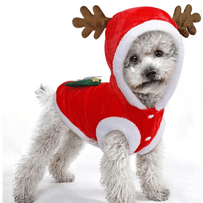Conjunto Roupa de Natal para cão ou Gato ( 4 tamanhos) - PetDoctors - Loja Online