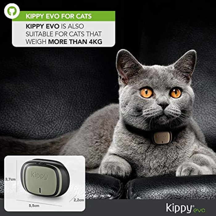 Tractive Arnés GPS Cat 4 Tracker para paseos de gatos con tranquilidad,  correas de velcro, color negro