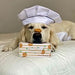 Doxel Supplements - Snacks para cães 100% naturais | Doxelitos | Cães de todas as raças e idades, fácil digestão, hipoalergénico e Grain Free | 3 caixas de oxelitos 25 unidades / caixa - PetDoctors - Loja Online