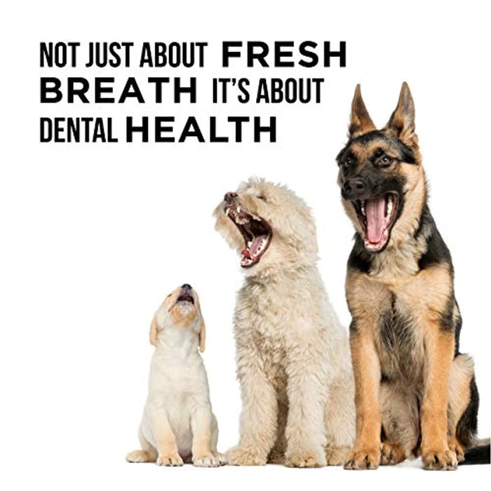 Enxaguador Oral Natural para Cães - aditivo de água para cuidados dentais (473 ml) - PetDoctors - Loja Online