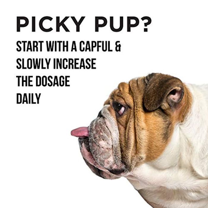 Enxaguador Oral Natural para Cães - aditivo de água para cuidados dentais (473 ml) - PetDoctors - Loja Online