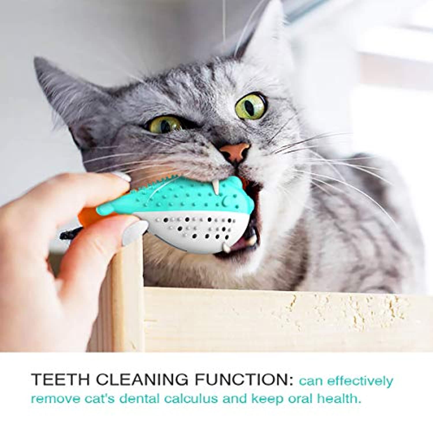 Toothbrush Toy for Cats Clean teeth Resistant to chewing