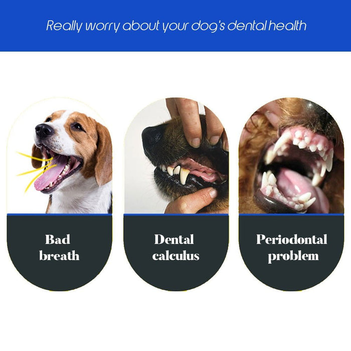 Escova de dentes, com 3 lados, para cães - PetDoctors - Loja Online