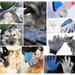 Escova Luva em Latex para Cães ou Gatos - PetDoctors - Loja Online