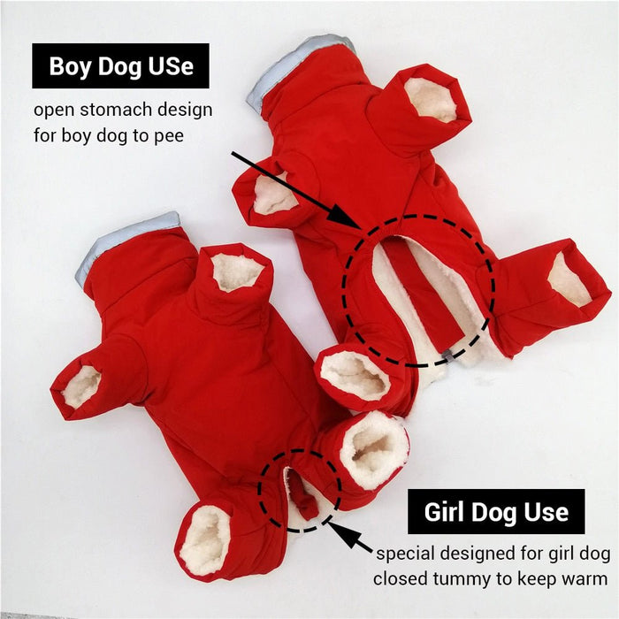 Fato / Casaco Completo Impermeável para Cães - PetDoctors - Loja Online