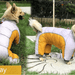 Fato / Casaco Completo Impermeável Quente e Acolchoado para Cães - PetDoctors - Loja Online