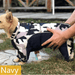 Fato / Casaco Completo Impermeável Quente e Acolchoado para Cães - PetDoctors - Loja Online