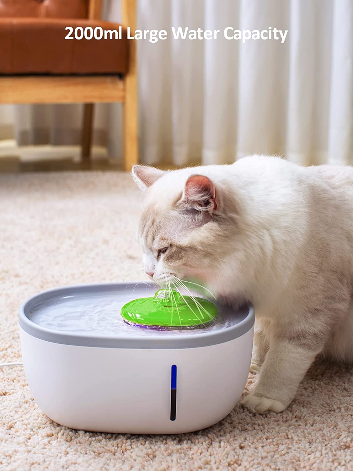 FONTANELLA MARGHERITA PER GATTO 1,6 LITRI CON POMPA E FILTRO