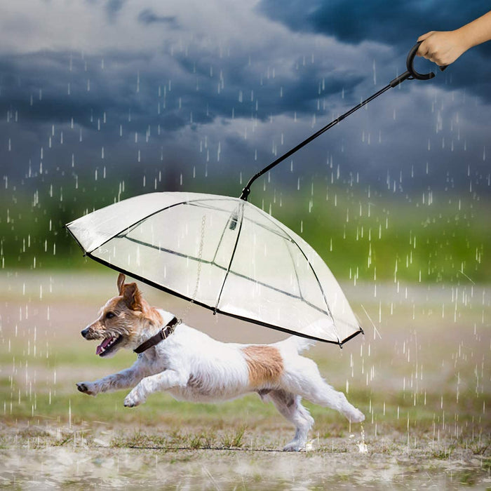 Guarda-chuva com trela, para cães, para passeios ao ar livre com chuva - PetDoctors - Loja Online