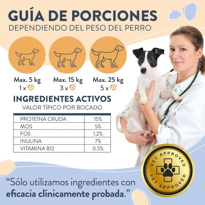 Hello Jack Digest Suplemento para cães - Guloseimas mastigáveis para cães para digestão, saúde intestinal e consistência das fezes - sabor de manteiga de amendoim - PetDoctors - Loja Online