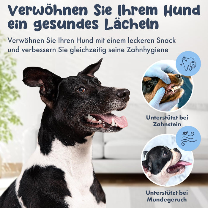 Hello Jack Limpeza natural para mau hálito de cães - até 4 meses de fornecimento - limpa os dentes e ajuda a eliminar o mau hálito do cão - evita o tártaro - PetDoctors - Loja Online