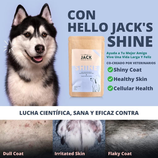 Hello Jack Óleo de salmão para cães - salmão para pêlo brilhante e saudável, Ômega 3 - reduz a dermatite e a comichão, 100% natural - PetDoctors - Loja Online