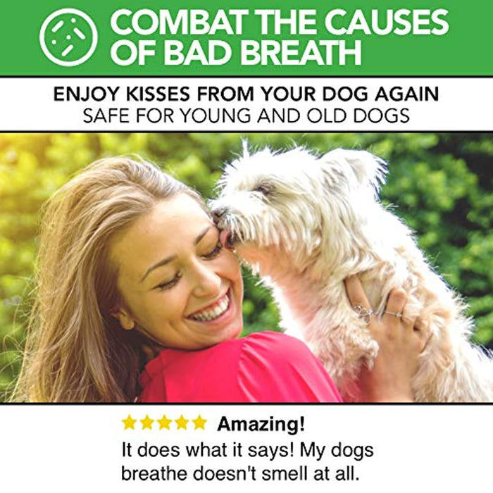 Higiene oral - Aditivo de água refrescante e 100 % natural para cães | Cuidado oral para combater o mau hálito, o sarro e a placa - PetDoctors - Loja Online