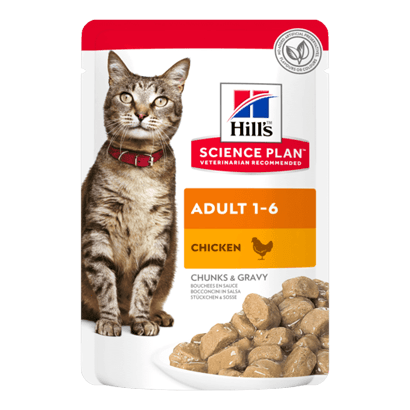 Hills Science Plan Adult Cat with Chicken | Wet (Saqueta) | 12 x 85 gr | 12 daquelas de 85 gr - PetDoctors - Loja Online