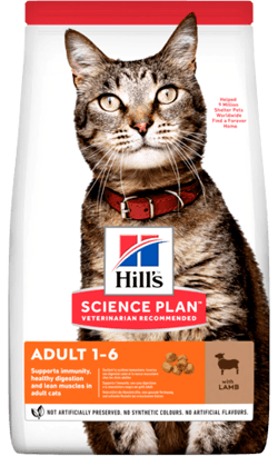 Hills Science Plan Adult Cat with Lamb - PetDoctors - Loja Online
