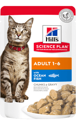 Hills Science Plan Adult Cat with Ocean Fish | Wet (Saqueta) | 12 x 85 gr | 12 saquetas de 85 gr - PetDoctors - Loja Online