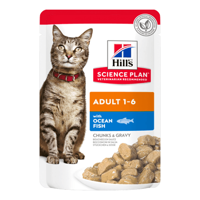 Hills Science Plan Adult Cat with Ocean Fish | Wet (Saqueta) | 12 x 85 gr | 12 saquetas de 85 gr - PetDoctors - Loja Online