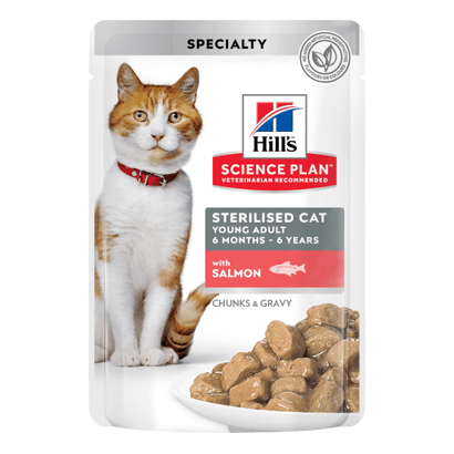 Hills Science Plan Adult Sterilised Cat Young Adult with Salmon | Wet (Saqueta) | 12 x 85 gr | 12 saquetas de 85 gr - PetDoctors - Loja Online