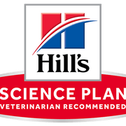Hills Science Plan Kitten with Chicken | 1,5 kg - PetDoctors - Loja Online