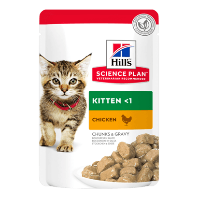 Hills Science Plan Kitten with Chicken | Wet (Saqueta) | 12 x 85 gr | 12 saquestas de 85 gr - PetDoctors - Loja Online