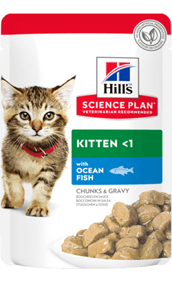Hills Science Plan Kitten with Ocean Fish | Wet (Saqueta) | 12 x 85 gr | 12 saquetas de 85 gr - PetDoctors - Loja Online