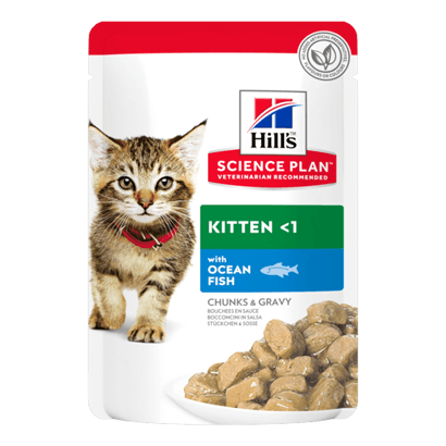 Hills Science Plan Kitten with Ocean Fish | Wet (Saqueta) | 12 x 85 gr | 12 saquetas de 85 gr - PetDoctors - Loja Online