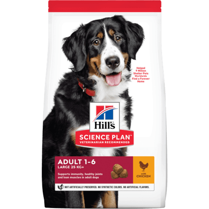 Hills Science Plan Large Breed Adult Dog with Chicken - PetDoctors - Loja Online