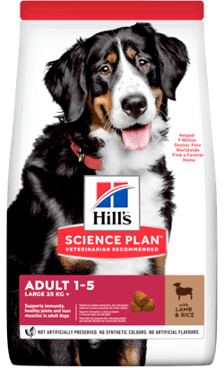Hills Science Plan Large Breed Adult Dog with Lamb & Rice | 14 Kg - PetDoctors - Loja Online