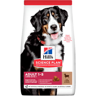 Hills Science Plan Large Breed Adult Dog with Lamb & Rice | 14 Kg - PetDoctors - Loja Online