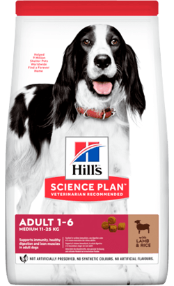 Hills Science Plan Medium Adult Dog Food with Lamb & Rice - PetDoctors - Loja Online